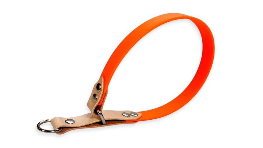 Toscani Cuoio Completo collare guinzaglio cane waterproof