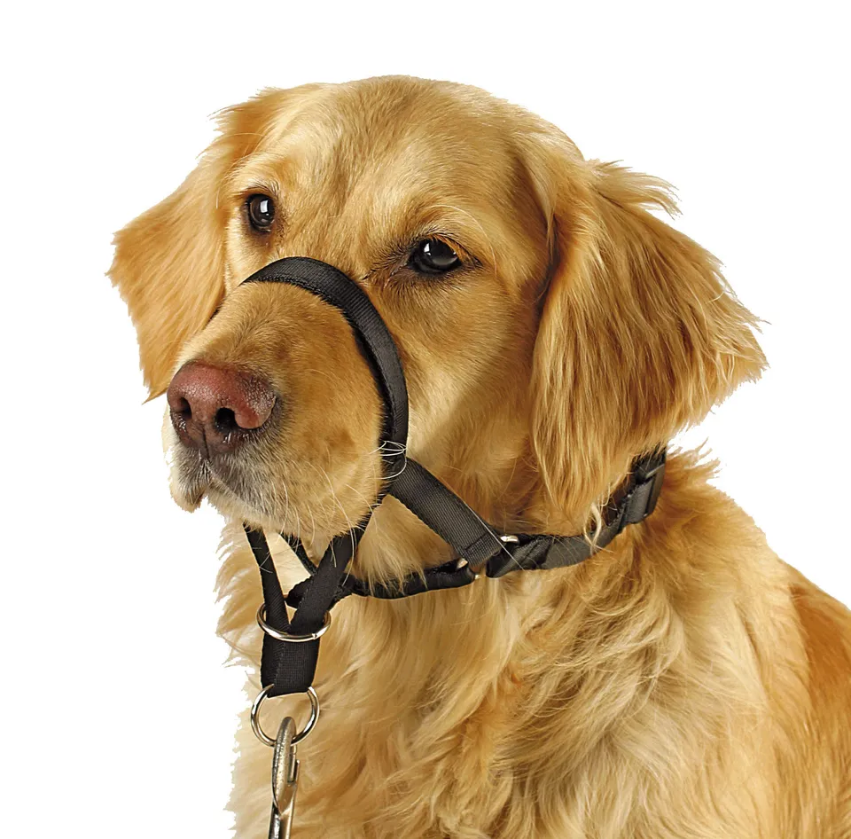 Kerbl Pet Maxi Coach pettorina addestramento cane