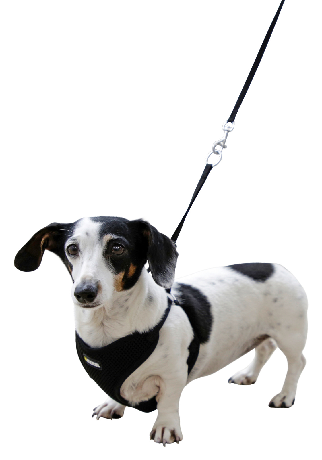 Kerbl Pet Puppy Harness pettorina cucciolo mesh con guinzaglio 120 cm
