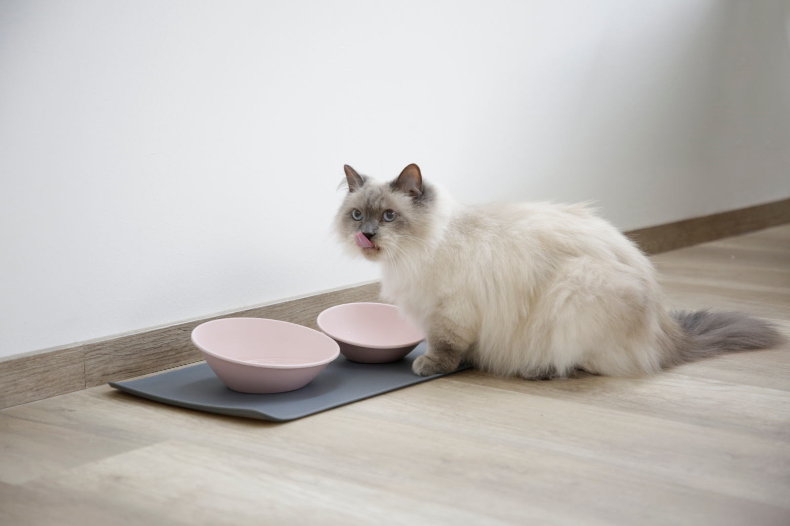 Kerbl Pet Bowl Base base silicone antiscivolo ciotola