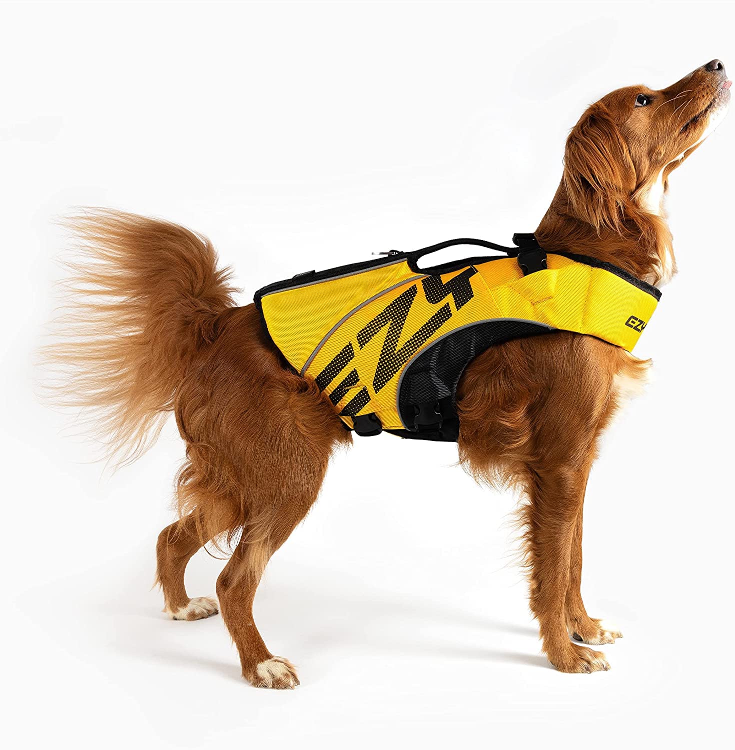 EzyDog DFD X2 Premium giubbotto salvagente cane L giallo