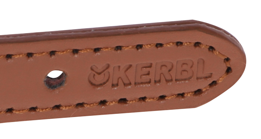 Kerbl Phoenix collare cane rotondo nylon ecopelle fibbia