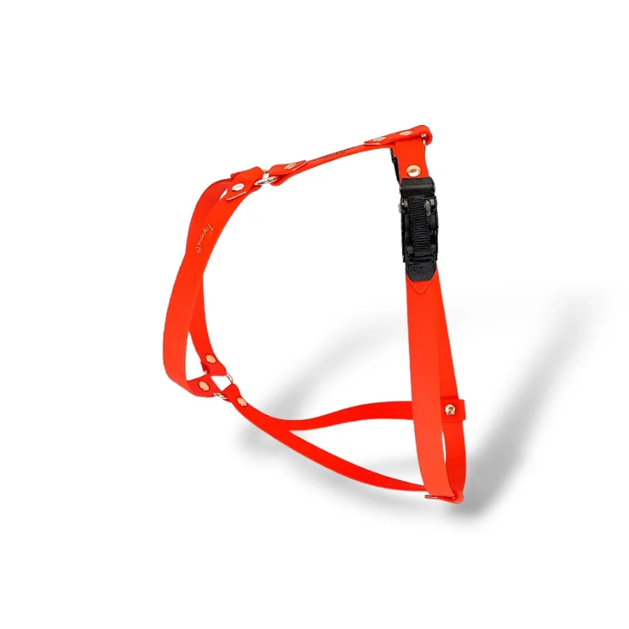 Toscani Waterproof pettorina H cane classic impermeabile