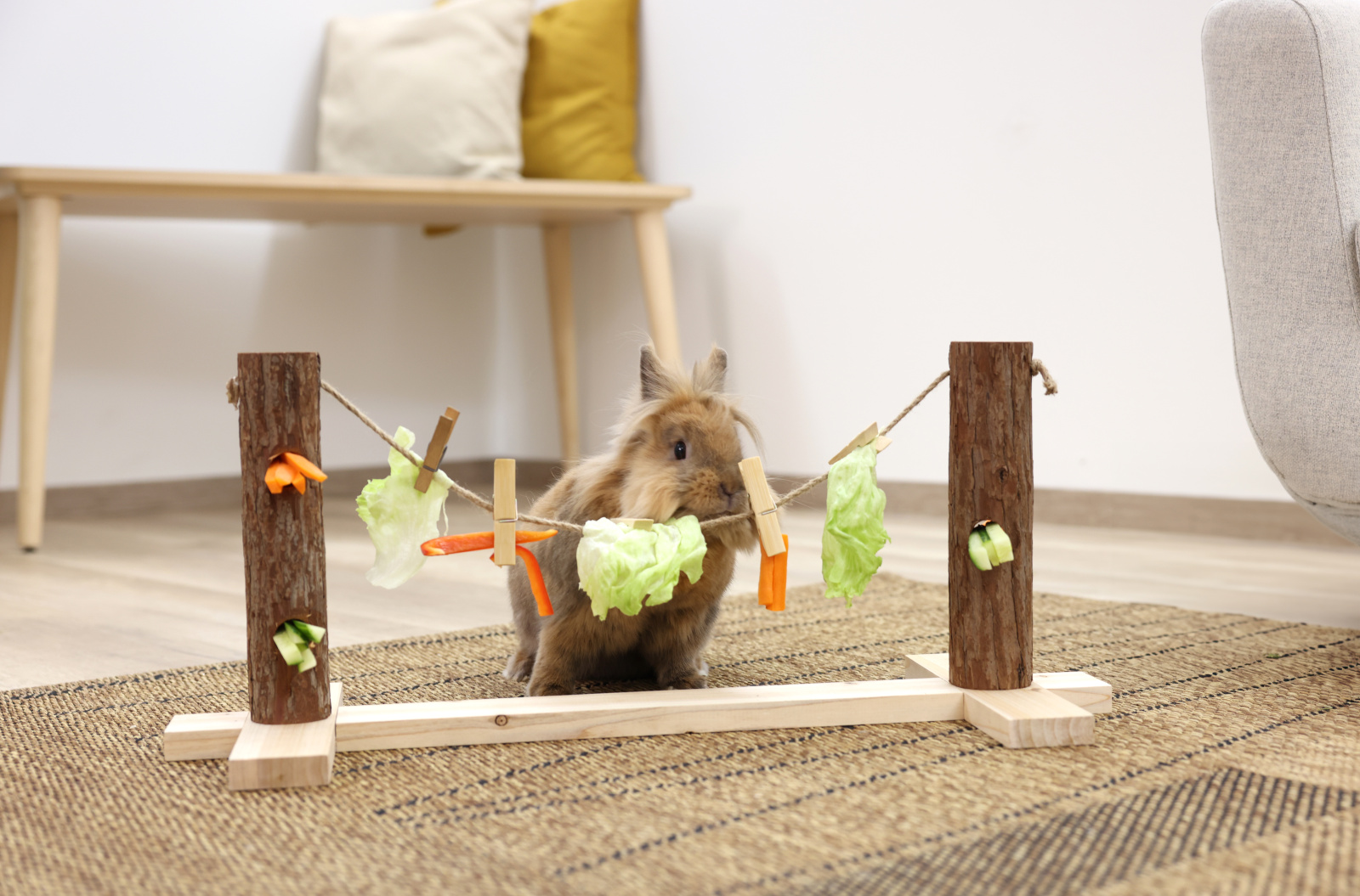 Kerbl Pet Feeding Line gioco alimentazione conigli e roditori